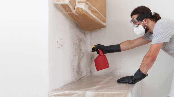 Professional Crawl Space Mold Remediation technician working in Saint Leonard, MD